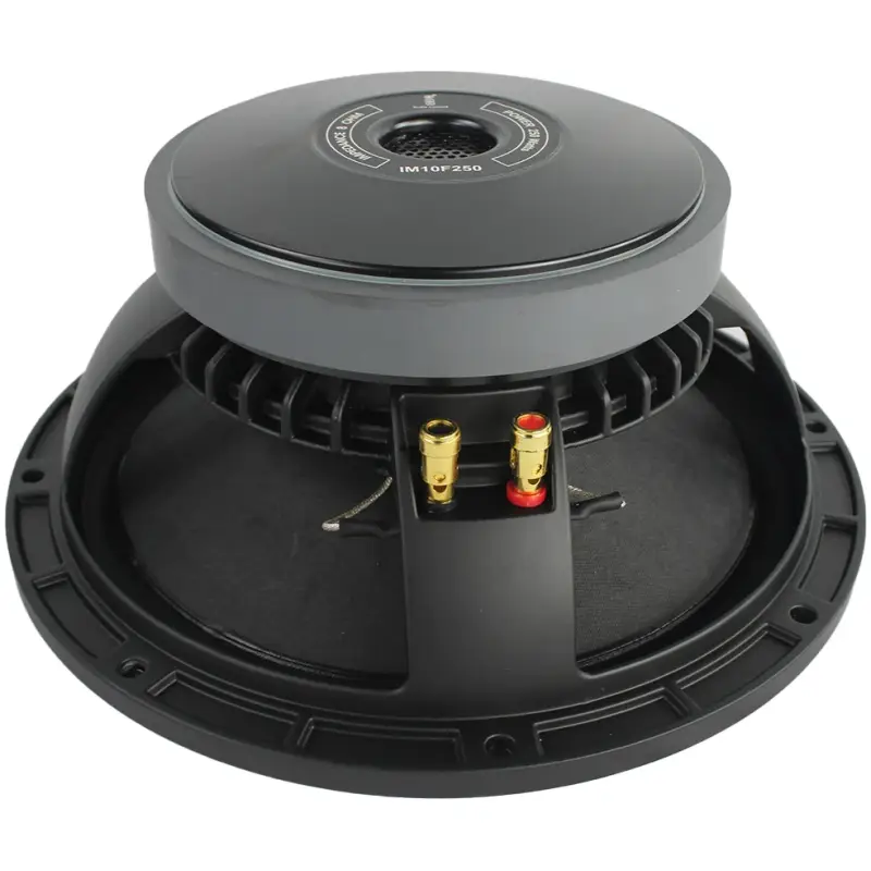 Imix IM10F250 10" 250W Loose Speaker