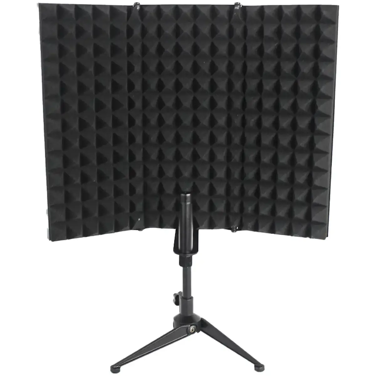 IMBM303