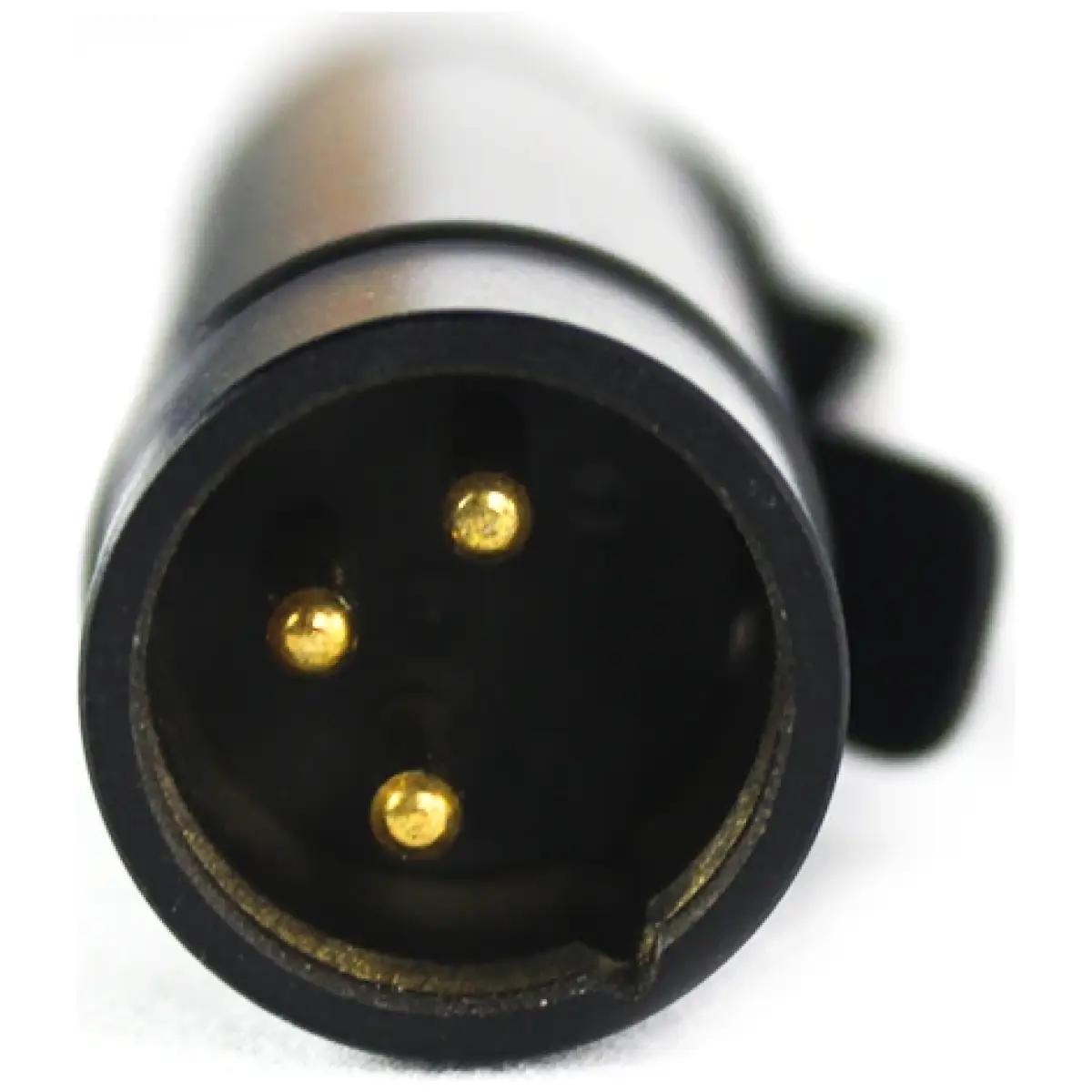 IMMJC-1