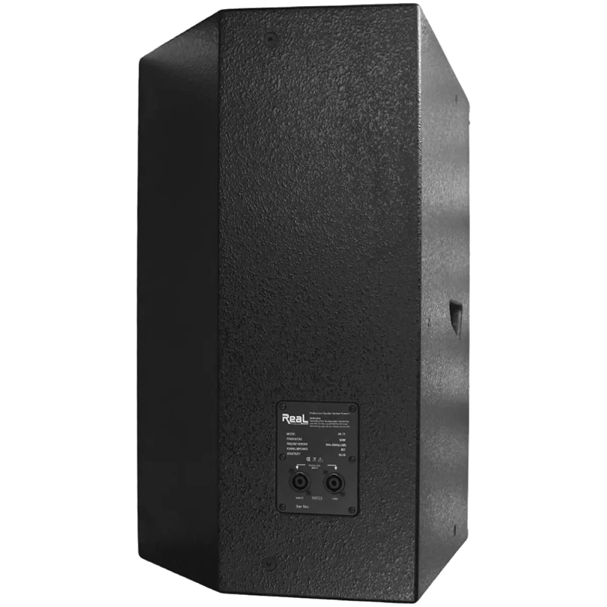 Real Sound ML-15 Passive Speaker - Image 2